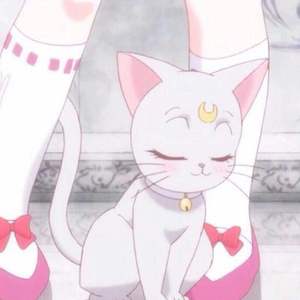 黑人操欧美美女屁眼在线观看
