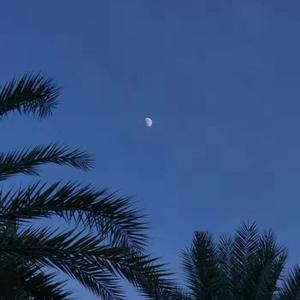 黑人操欧美美女屁眼在线观看
