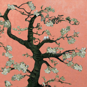 黑人操欧美美女屁眼在线观看
