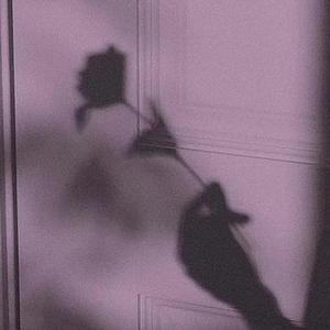 黑人操欧美美女屁眼在线观看
